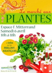 Marché aux Plantes