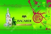 BACARDI MOJITO PARTY !!!