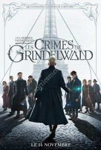 Cinéma en plein air : Les animaux fantastiques : Les crimes de Grindelwald