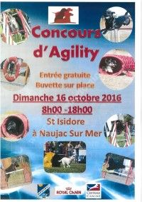 Concours d'Agility