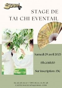 STAGE TAI CHI EVENTAIL