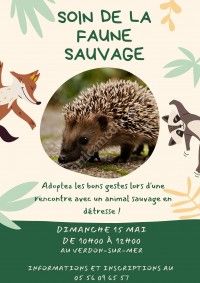 Soin de la faune sauvage
