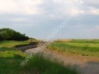 Vide-Grenier du Port de By