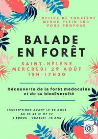 Balade en Forêt