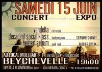 Concert Punk-Rock et Exposition