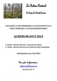 Balade guidée en forêt