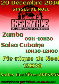 Stages de danse & Pique-nique de Noël