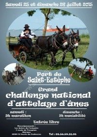 Challenge National d'Attelage d'Anes