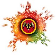 Réouverture du Bat Café