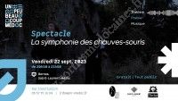 La Symphonie des chauves-souris