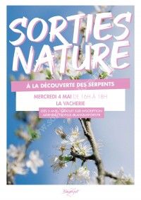 Sortie nature : à la découverte des serpents