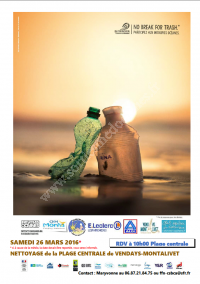 Nettoyage de la Plage