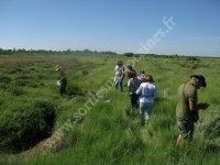Cuisine des marais avec Laurence Dessimoulie