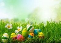 1ère Chasse aux Oeufs à Port-Médoc