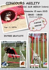 Concours agility canin- organisé par le CECM