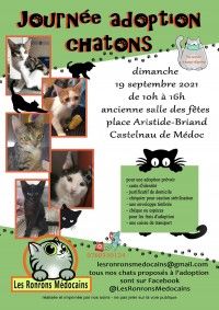 Journée Adoption Chatons