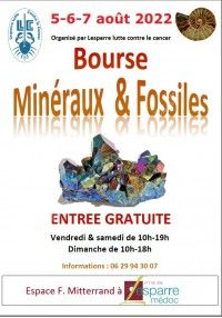 Bourse minéraux fossiles