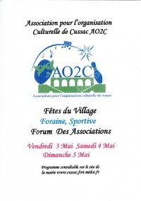 Fête du Village