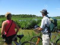 Visite du Capsey (marais de Talais et Grayan) à vélo