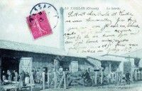 14ème Bourse Toutes collections et Petite Brocante