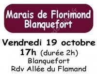 Découverte du marais de Florimond