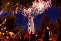 Plein feux sur l'estuaire 2016