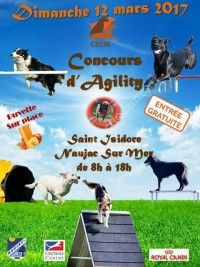 Concours d'Agility