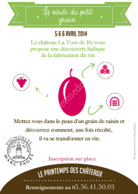 Le petit grain de raisin