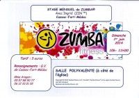 Stage de Zumba