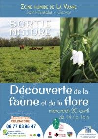 Sortie Nature