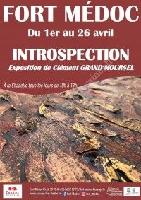 Exposition : Introspection