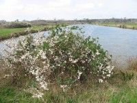 Découverte du Marais du Logit