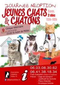 Journée Adoption Chats