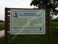 Balade pédestre en Médoc estuaire