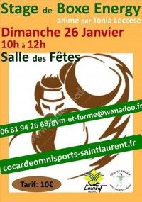 Stage de Boxe Energy