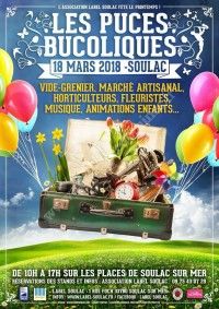 Puces bucoliques et vide grenier