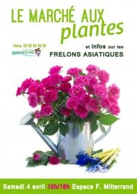 Marché aux Plantes