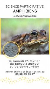 Science participative : Amphibiens