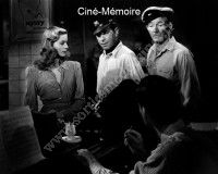 Ciné-Mémoire : Le Port de l'Angoisse