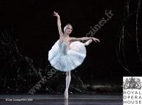 Royal Opéra House : Le Lac des Cygnes