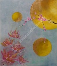 Expo De l'ombre à la lumière par Martine Palisse