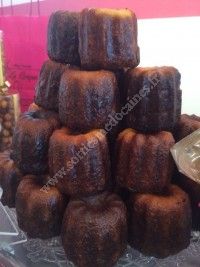 Visite et dégustation vin et cannelés