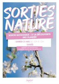Sortie botanique : à la découverte des plantes
