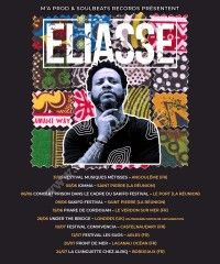 Eliasse en concert