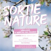 Sortie Nature