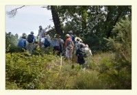 Trésors du Petit Patrimoine Entre Couquèques et Talais