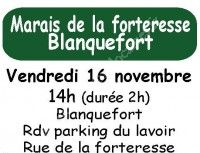 Sortie Nature dans le Marais de la Forteresse