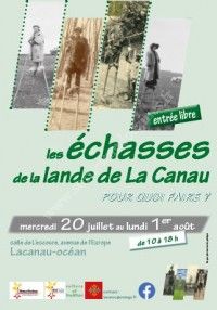 Les échasses de la lande de La Canau