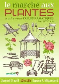 Marché aux Plantes