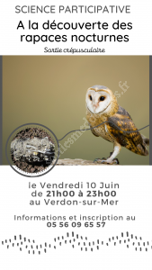 Découverte des rapaces nocturnes